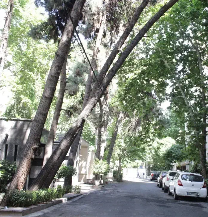 ۳۰۰ متر - بر ۱۱ - جنوبی - بلوارشهرزاد|فروش زمین و ملک کلنگی|تهران, دروس|دیوار