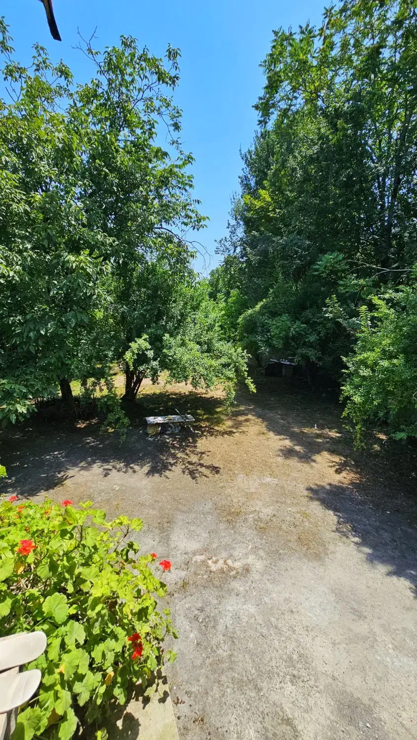 اجاره روزانه خانه باغ دو خواب|اجارهٔ کوتاه‌مدت ویلا و باغ|سیاهکل, |دیوار