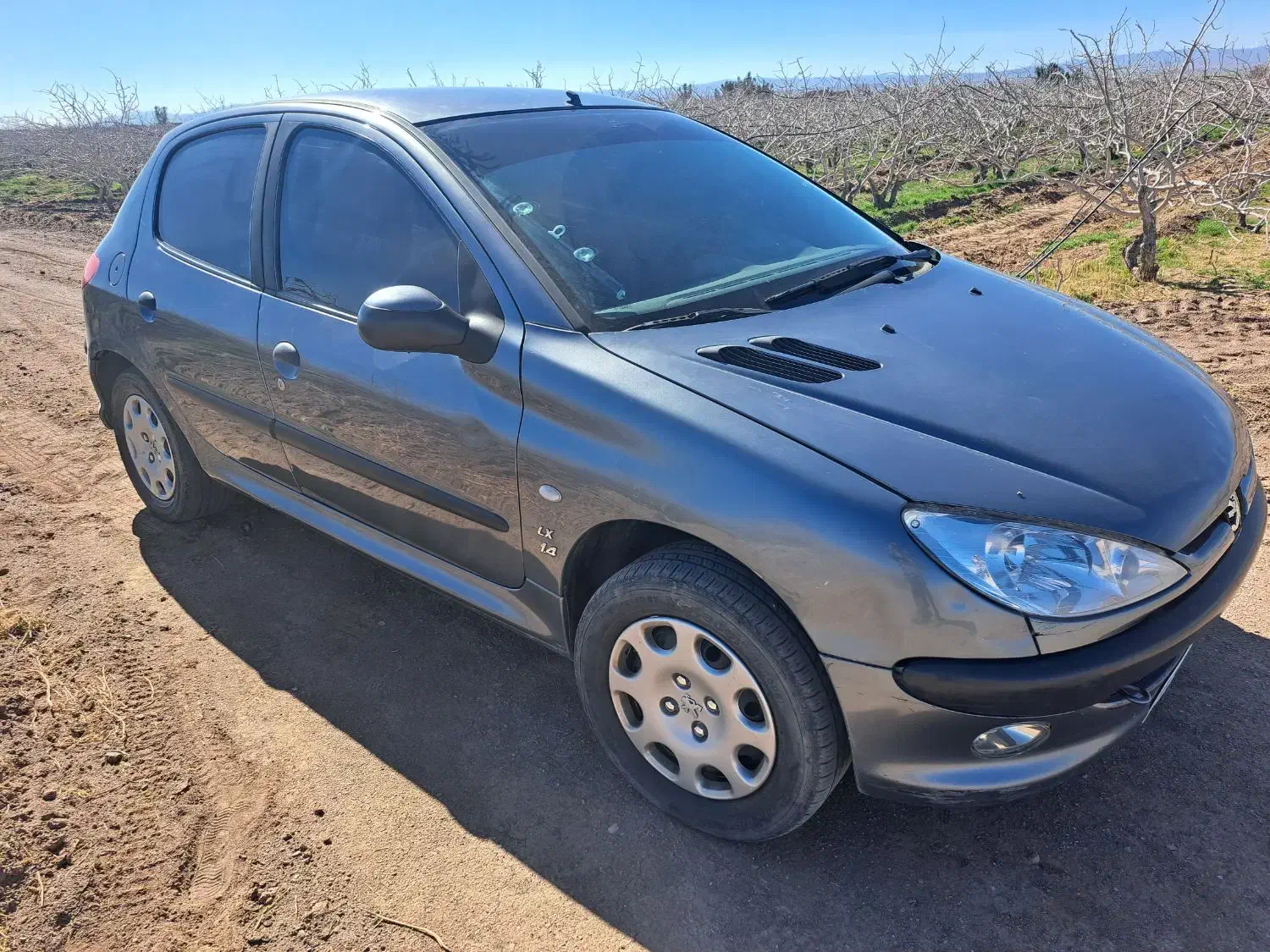 ۲۰۶ مدل ۹۰|خودرو سواری و وانت|رفسنجان, |دیوار