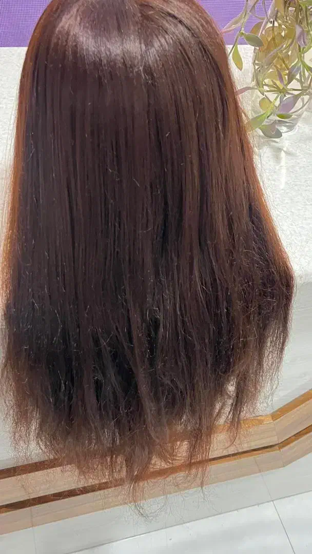 سر مانکن نو|آرایشگاه و سالن‌های زیبایی|مبارکه, |دیوار