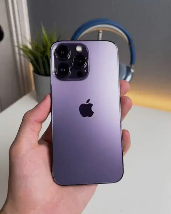 آیفون پرو Iphone 14         (اقساط 3 درصد بدون چک)|موبایل|مشهد, دانشجو|دیوار