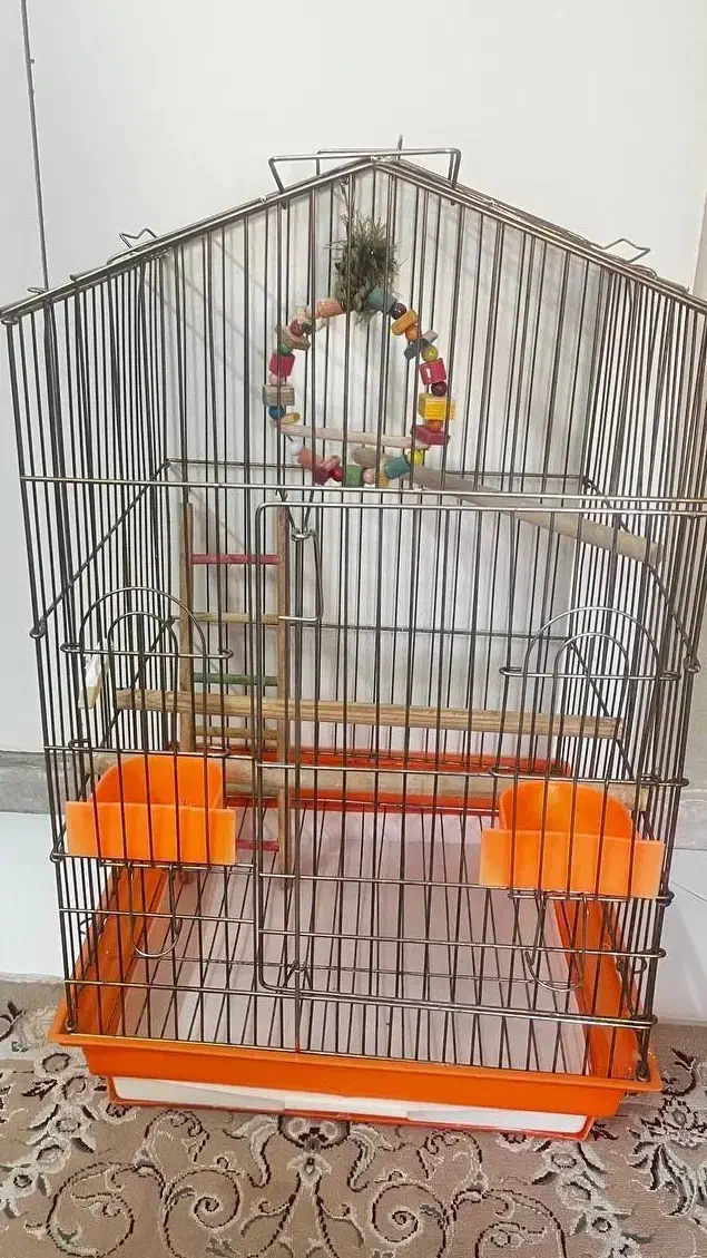 قفس پرنده|لوازم جانبی حیوانات|تهران, فردوس|دیوار