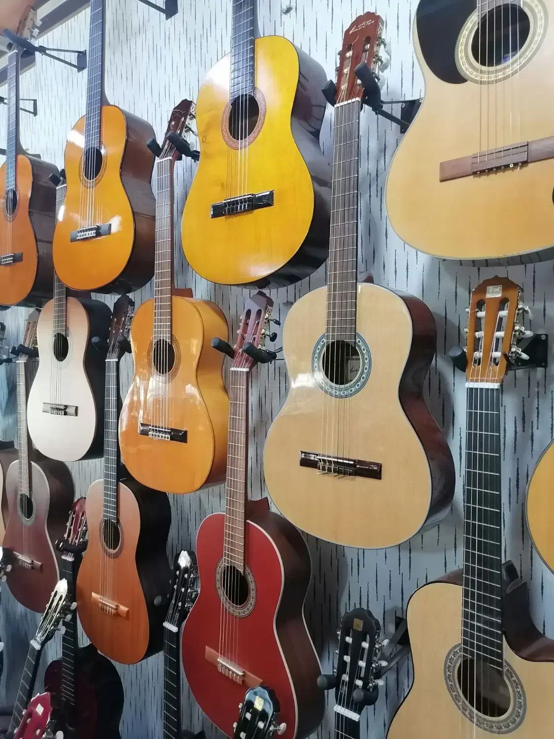 گیتار-- انتخاب حرفهایها|گیتار، بیس، امپلیفایر|مشهد, ولیعصر (شهرک غرب)|دیوار