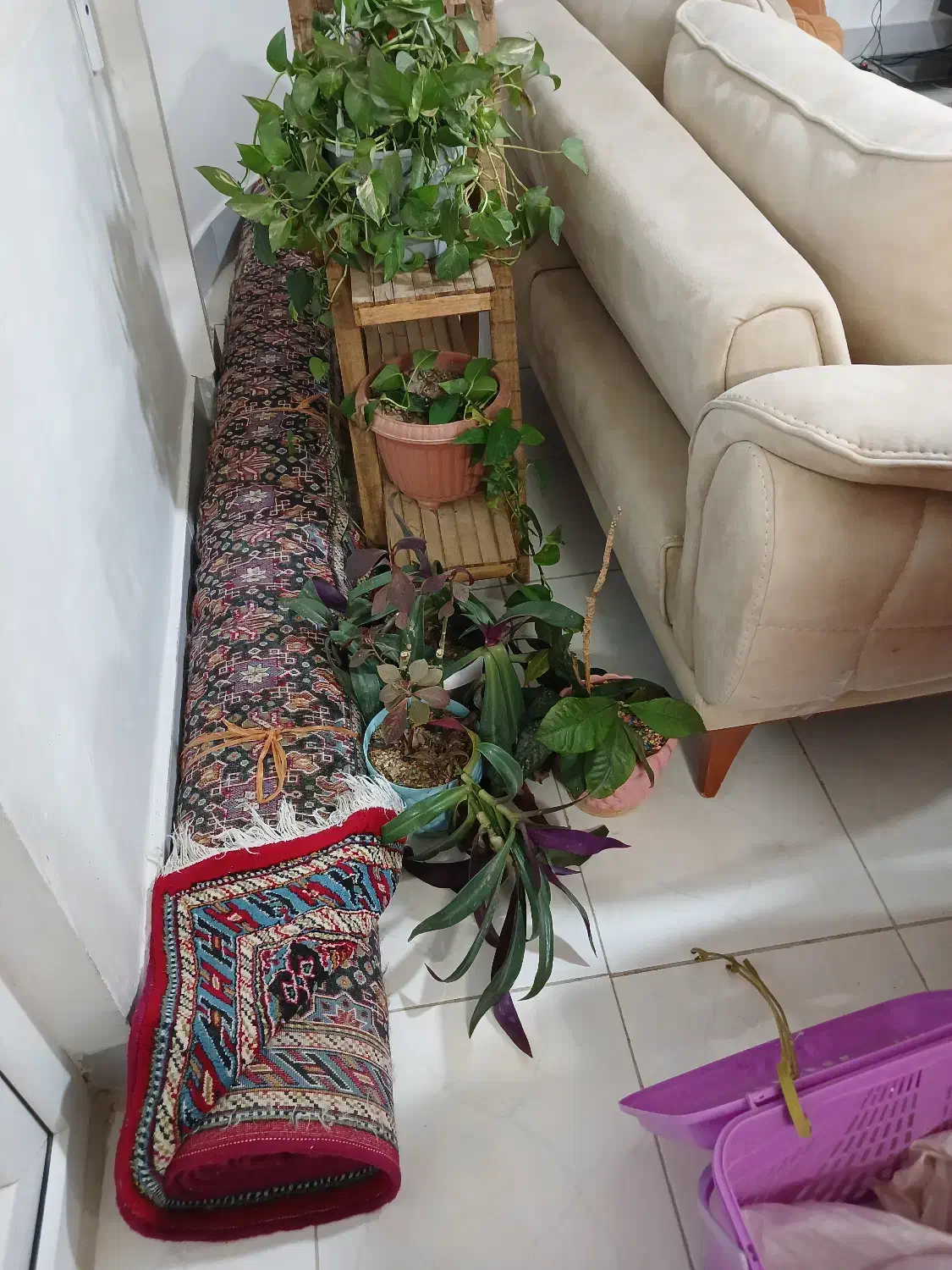 فرش ۱۲ متری|فرش|بجنورد, |دیوار