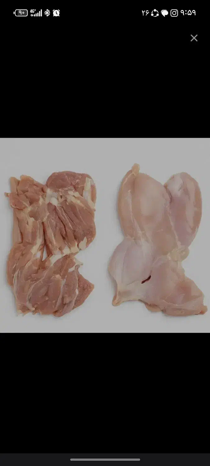 فیله ران، شینسل ران|خوردنی و آشامیدنی|فولادشهر, C4|دیوار