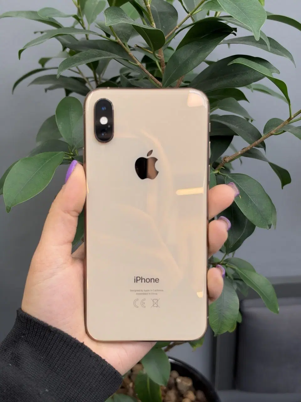 iPhone XS 256GB|موبایل|تهران, جردن|دیوار
