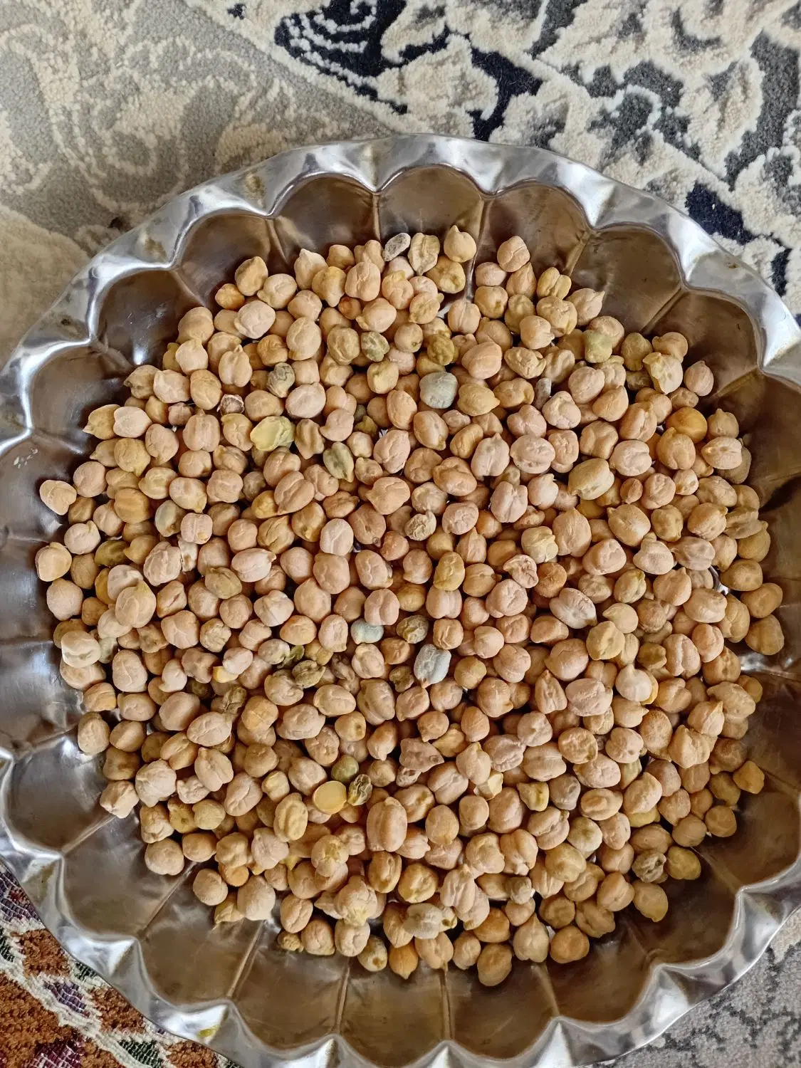 نخود|خوردنی و آشامیدنی|بجنورد, |دیوار