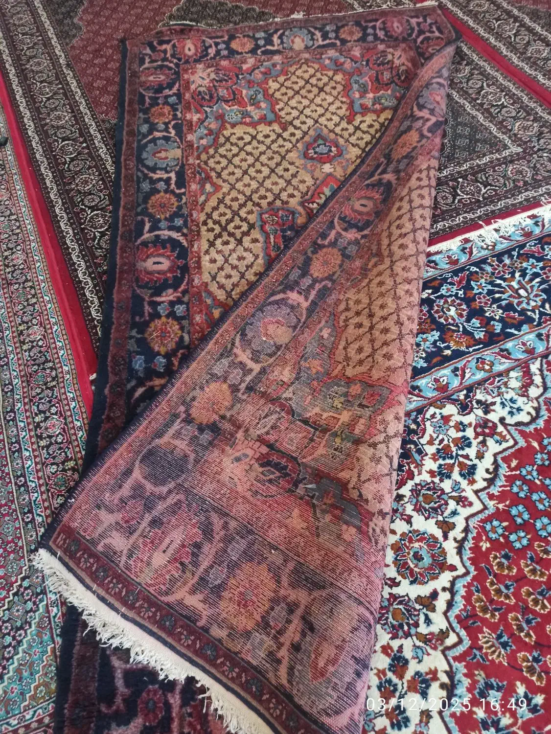 فرش دست بافت کردی|فرش|کرمانشاه, |دیوار