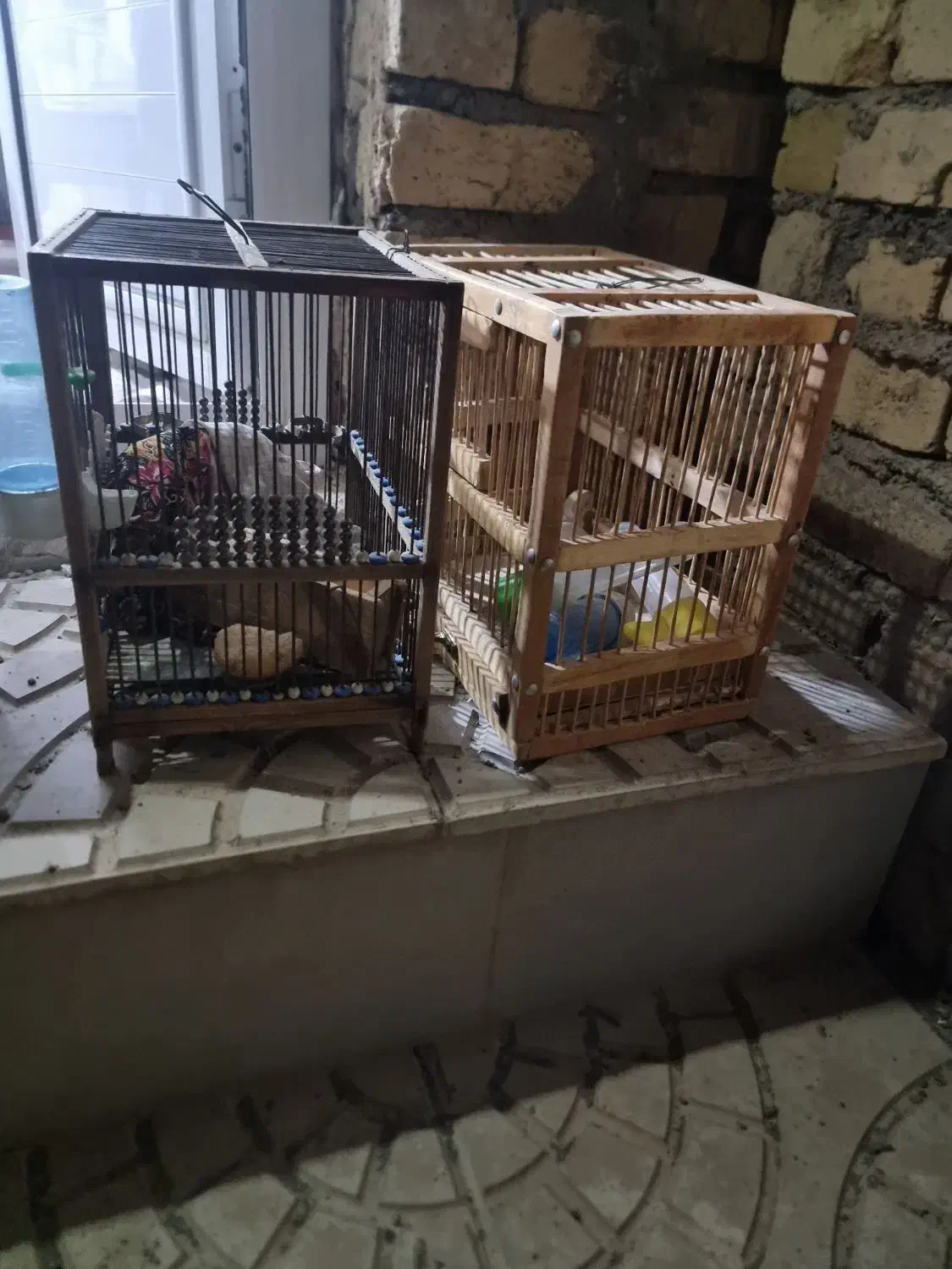قفس چوبی|لوازم جانبی حیوانات|زنجان, |دیوار