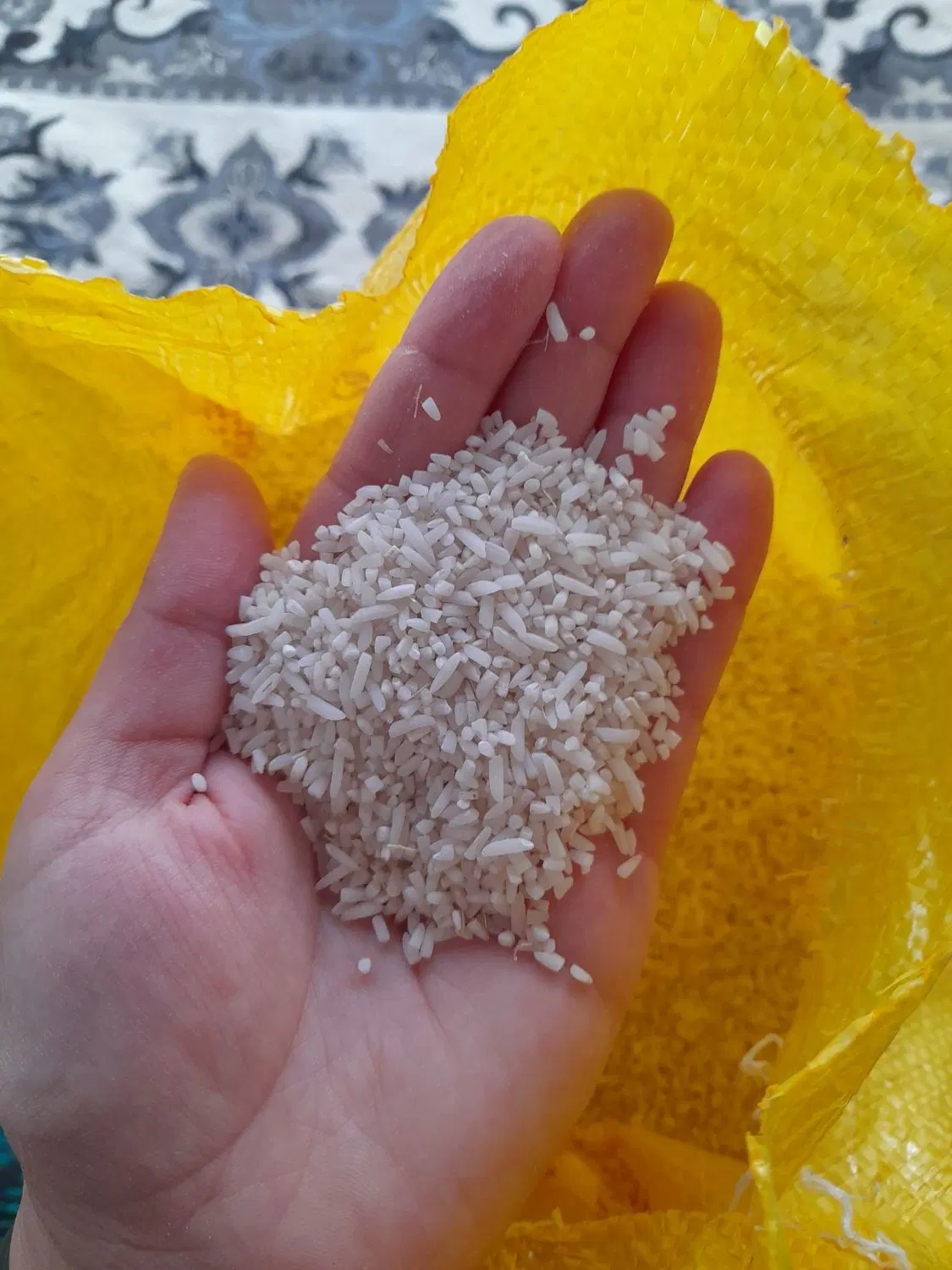 هاشمی|خوردنی و آشامیدنی|شاندرمن, |دیوار