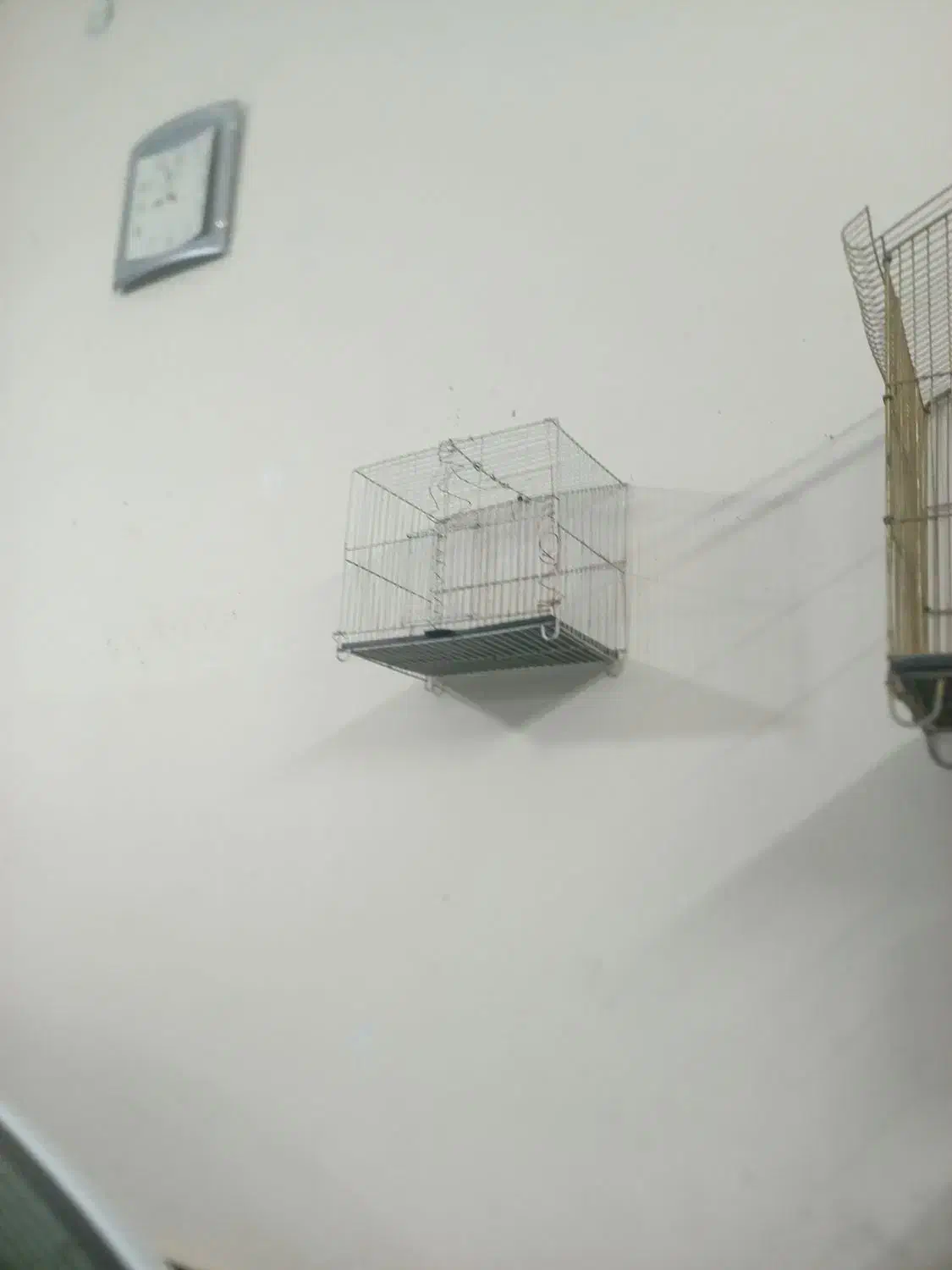 قفس|لوازم جانبی حیوانات|سبزوار, چهارراه فرودگاه|دیوار