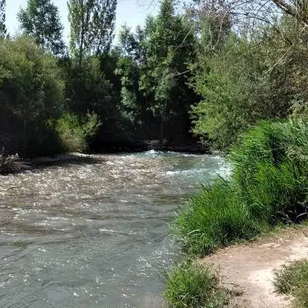 جشن رنگ و آب بازی طبیعت هرانده|تور و چارتر|تهران, بوستان چیتگر|دیوار
