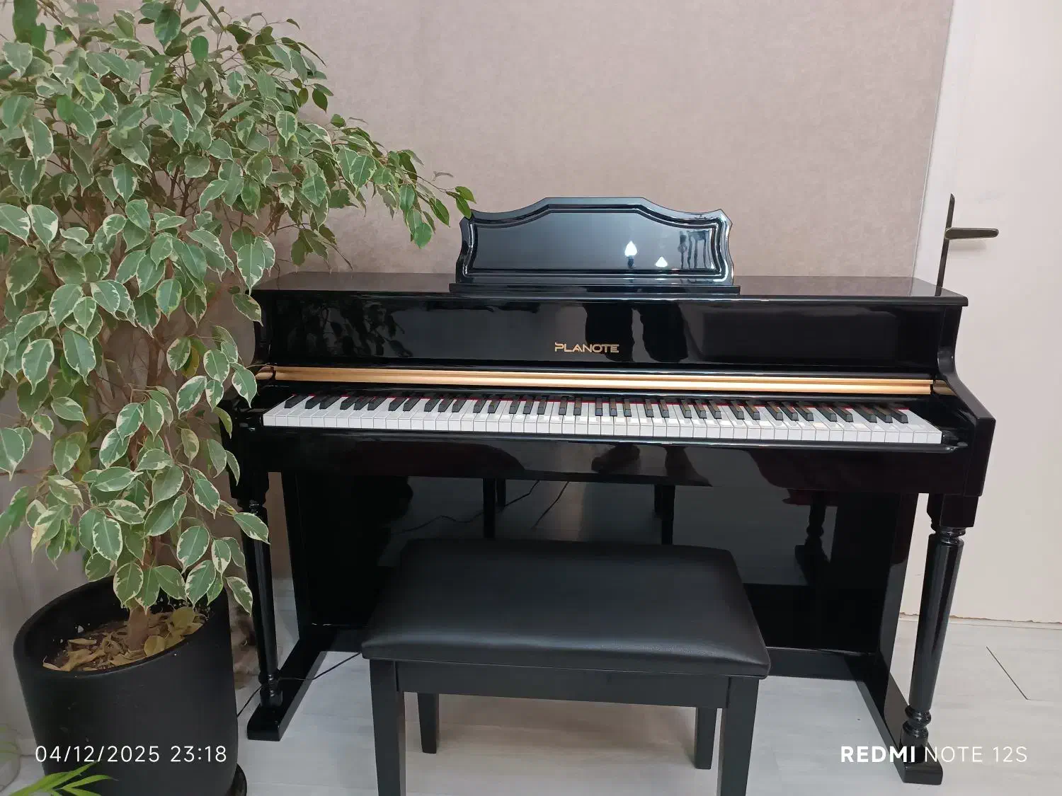 پیانو sw95  پلنوت فرانسه|پیانو، کیبورد، آکاردئون|مشهد, نوفل لوشاتو|دیوار