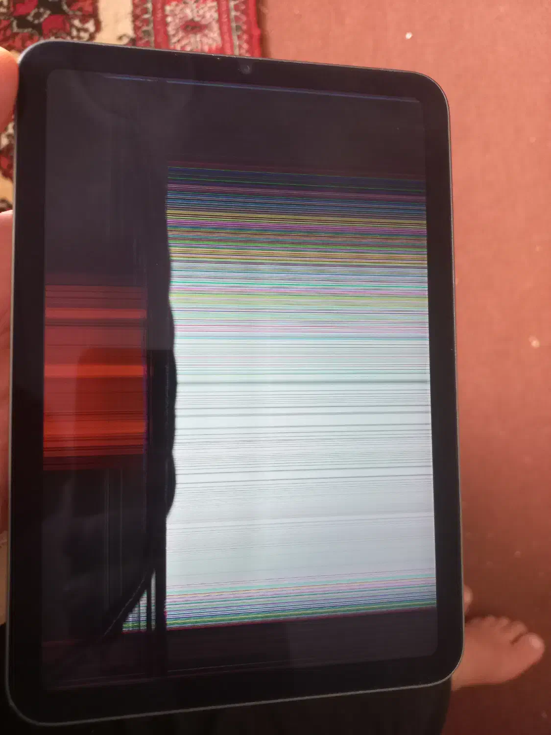 تبلت مینی مدل اپل|تبلت|گنبد کاووس, |دیوار