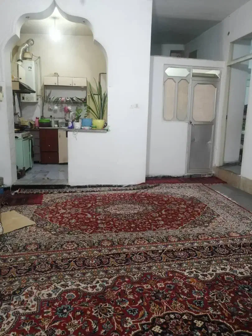 دوتا فرش کارکرده قدیمی|فرش|شیراز, شیخ علی چوپان|دیوار