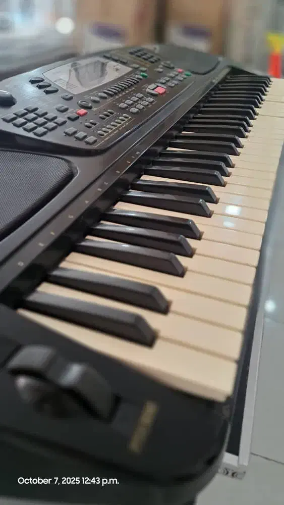 ارگ WK1بندری|پیانو، کیبورد، آکاردئون|دزفول, |دیوار