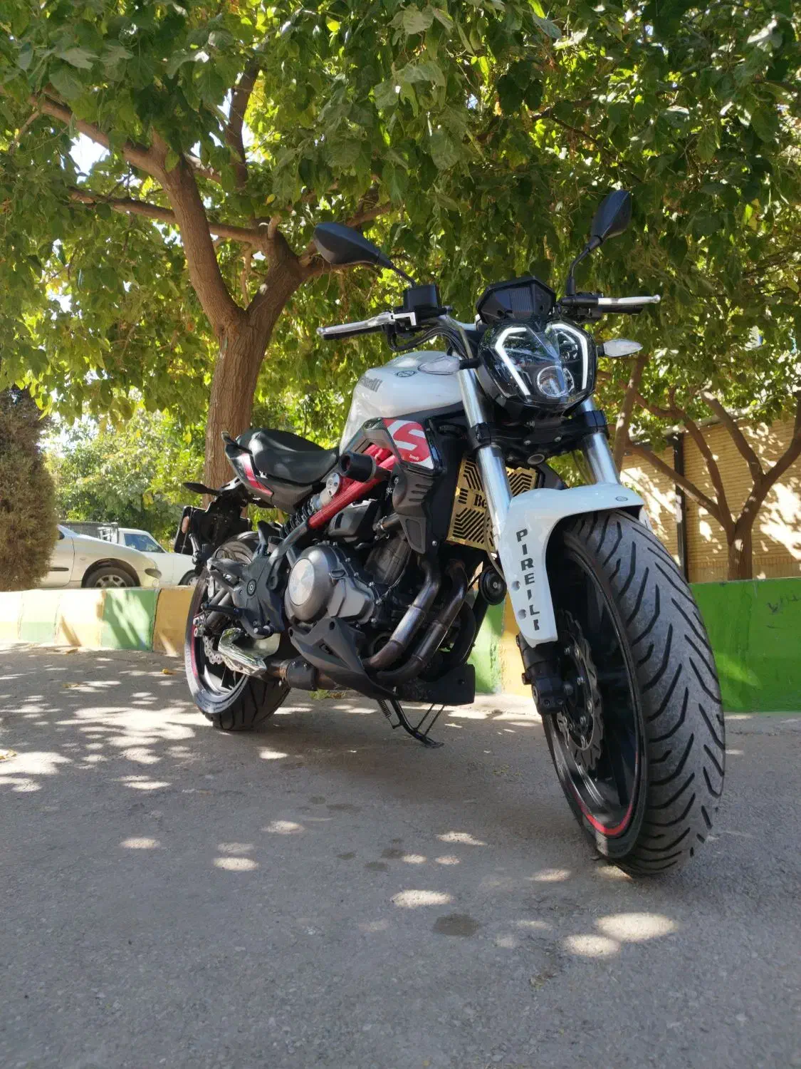 بنلی 300 جفت سیلندر|موتورسیکلت|شیراز, زرهی|دیوار