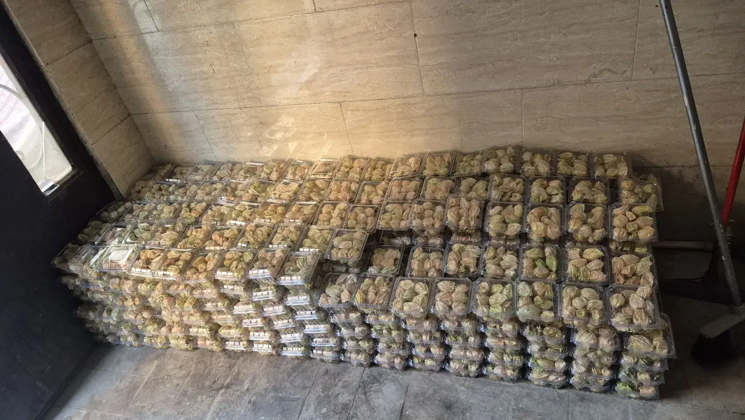 فیسالیس و کیوانا درجه یک به صورت کلی موجوده است|عمدهفروشی|سجاس رود, |دیوار