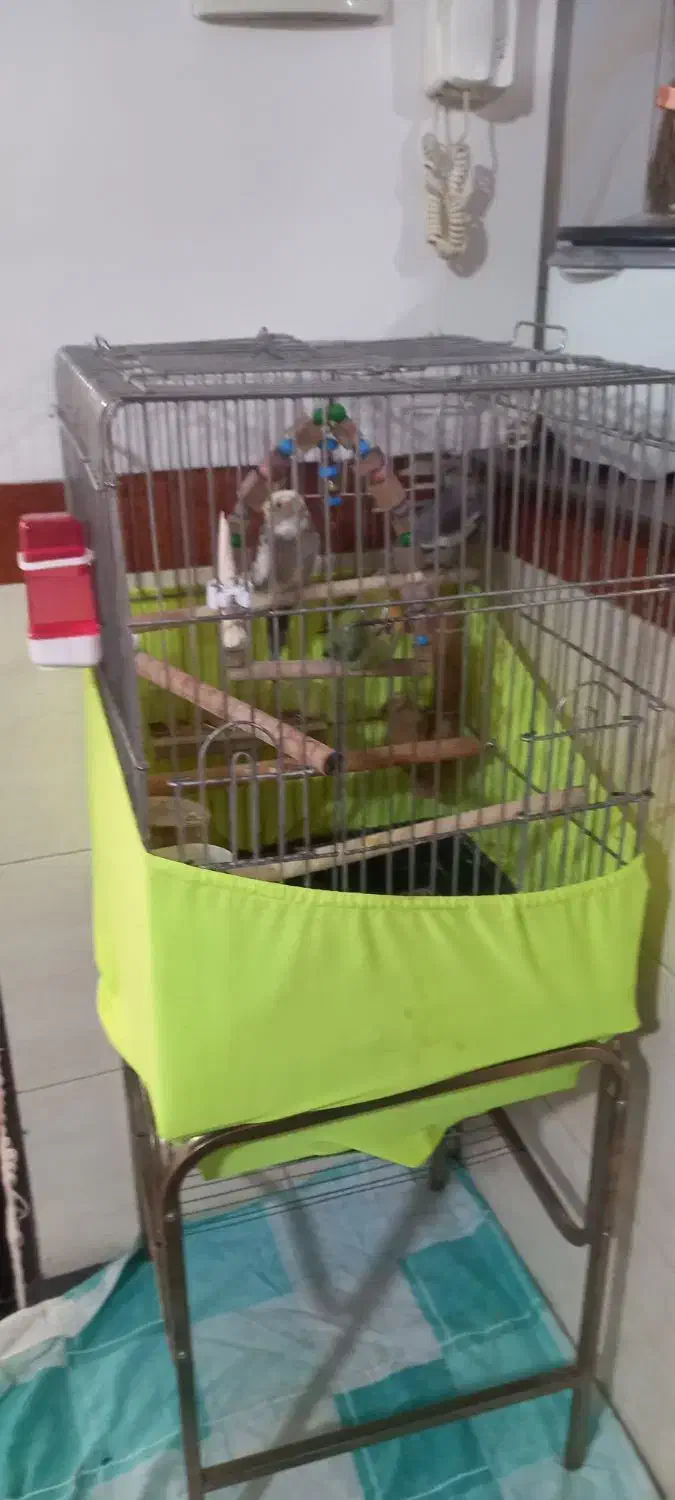 ۴۰۰۰،۰۰۰ قیمتش|پرنده|شهریار, شهرک امیریه|دیوار