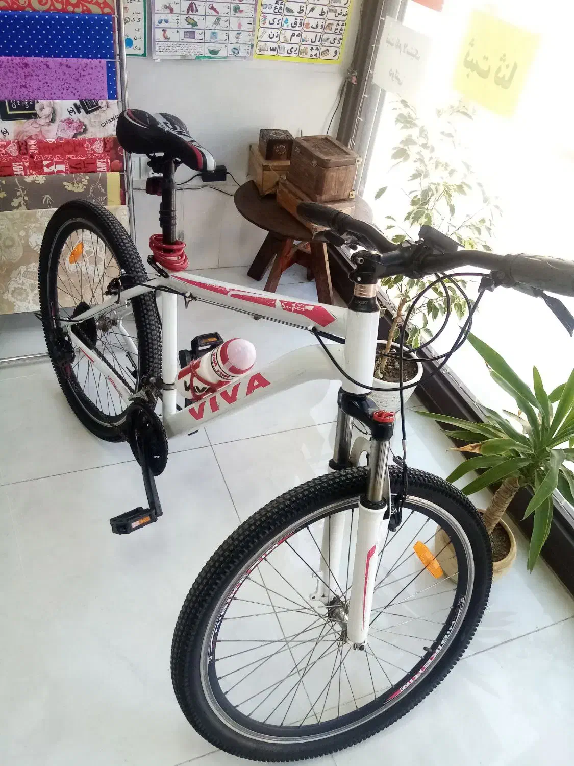 دوچرخه ویوا سایز 26|دوچرخه، اسکیت، اسکوتر|گنبد کاووس, |دیوار