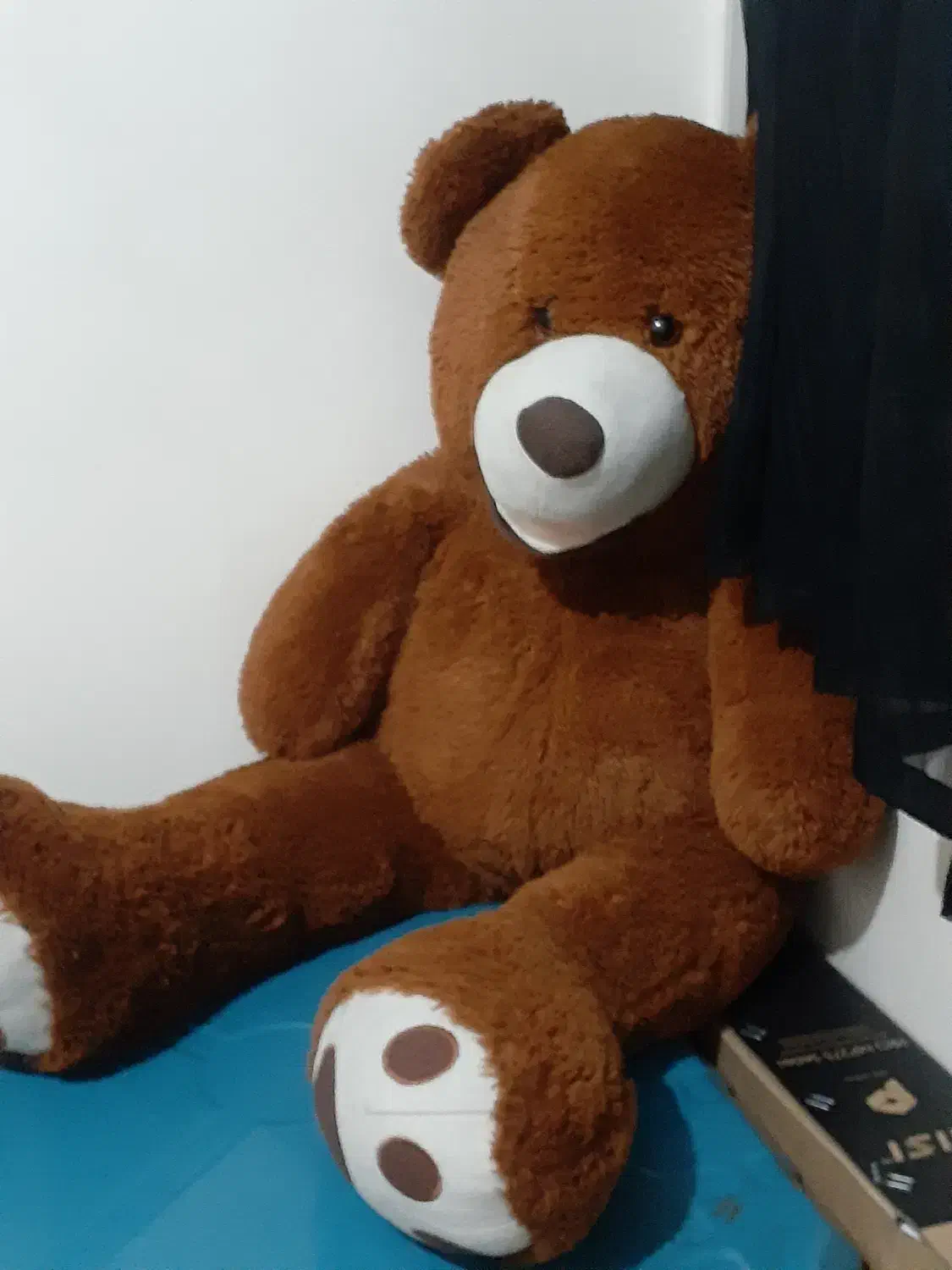 خرس کنسول و آیینه|آینه|ری, سیزده آبان|دیوار