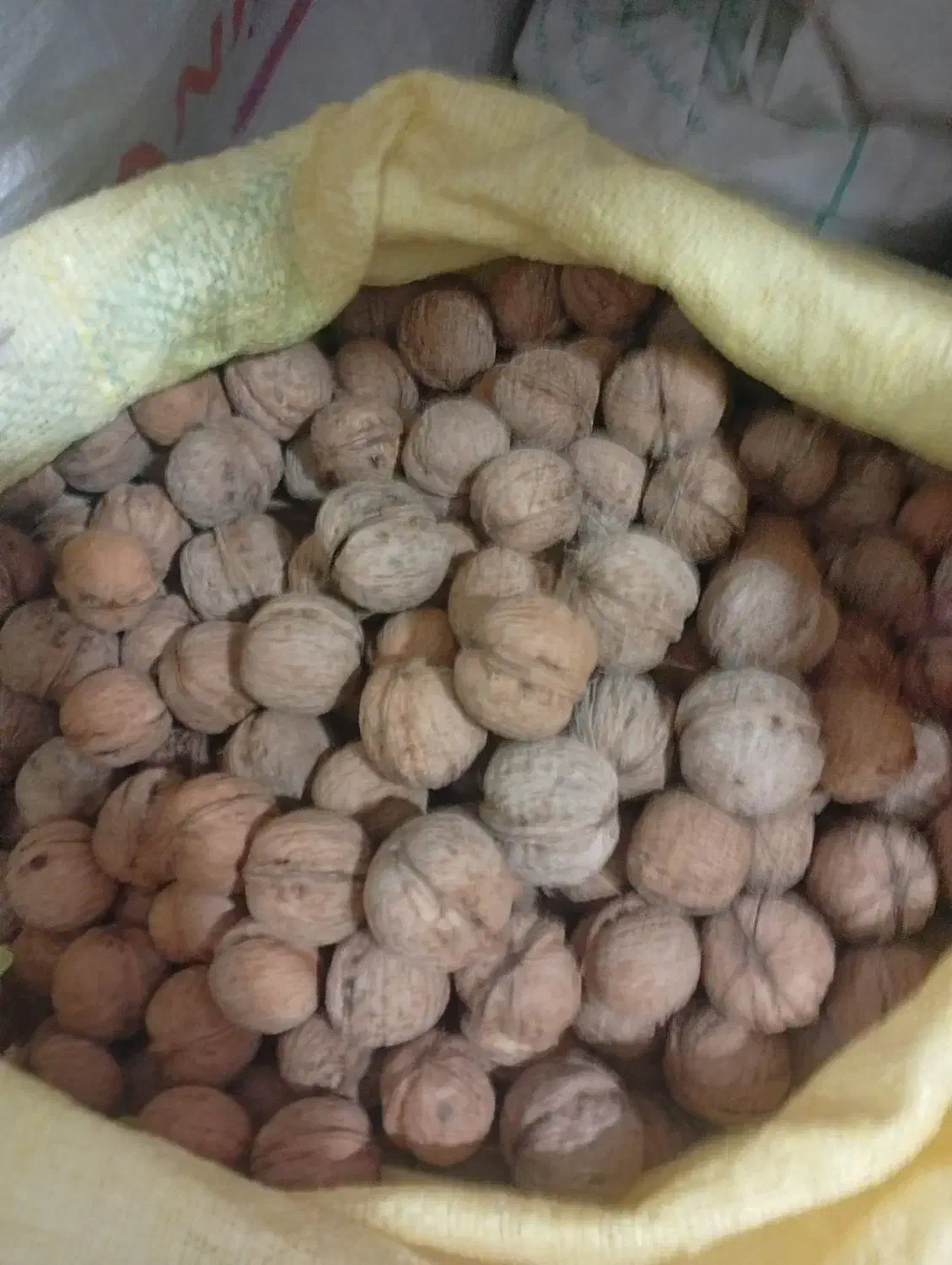 فروش گردو وبادام|حراج|قوچان, |دیوار