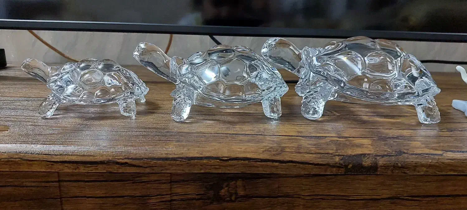 لاکپشت دکوری نو|مجسمه، تندیس، ماکت|قم, شاه سید علی|دیوار