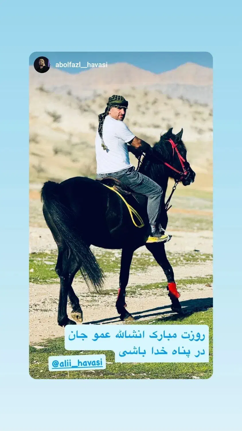 فروش اسب|حیوانات مزرعه|چوار, |دیوار