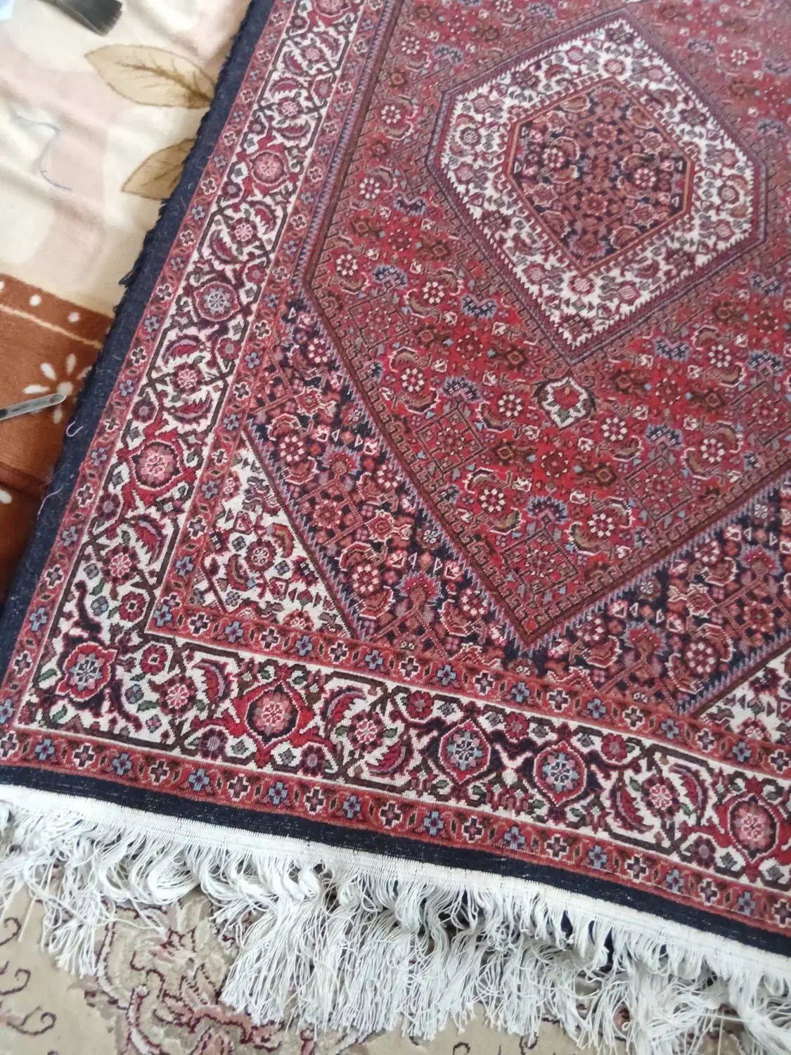 فرش زرنیم|فرش|زنجان, |دیوار