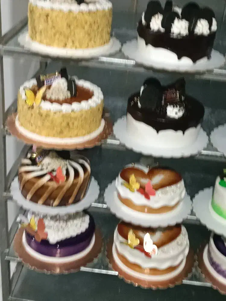 پخش و فروش انواع کیک و تر|عمده‌فروشی|ری, علایین|دیوار