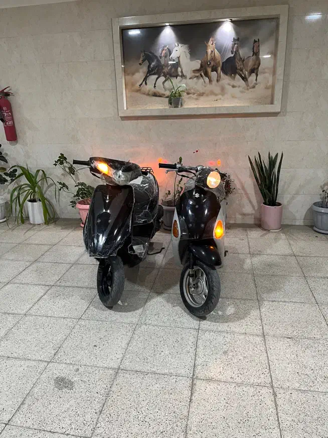 پاکشتی سوزوکی پالت ادرس|موتورسیکلت|بندرعباس, |دیوار