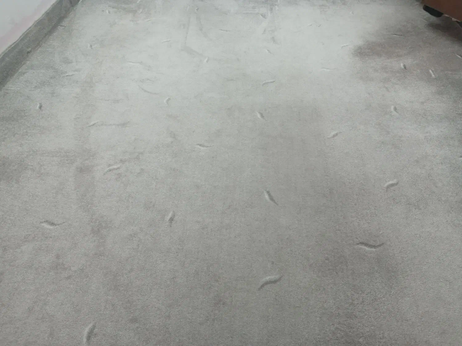 پالازموکت طوسی|موکت|ورامین, ورامین|دیوار