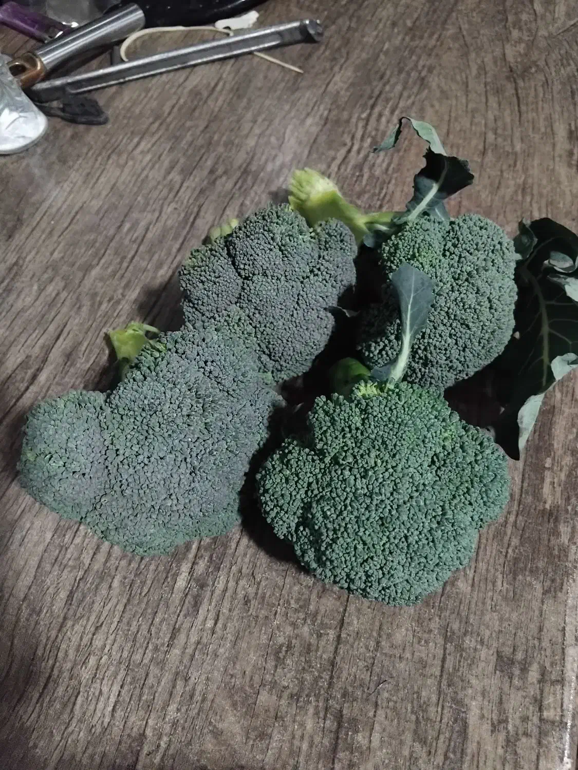 کلم بروکلی|گل و گیاه طبیعی|شهریار, شهرک بهاران (ویره)|دیوار