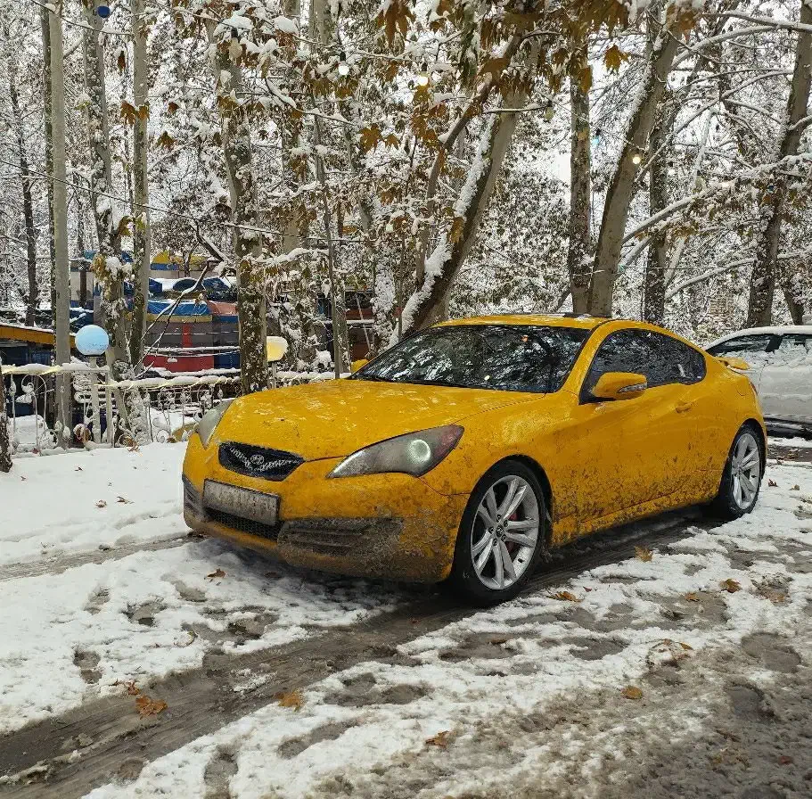 هیوندا|خودرو سواری و وانت|پرند, فاز ۵|دیوار