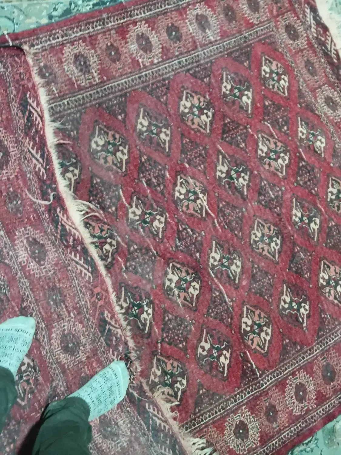 فرش دستبافت ۶متری|فرش|گرگان, |دیوار