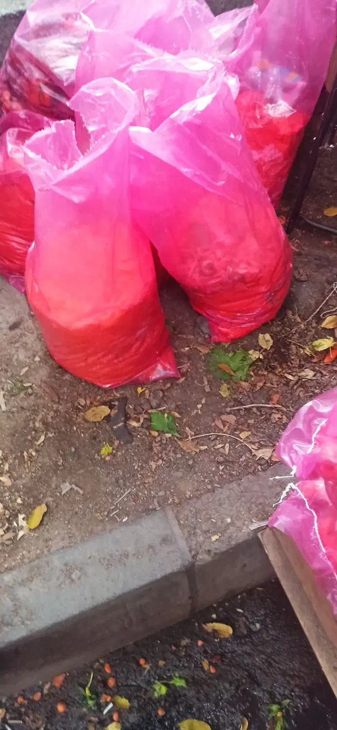 تفاله هویچ|لوازم جانبی حیوانات|مرند, |دیوار