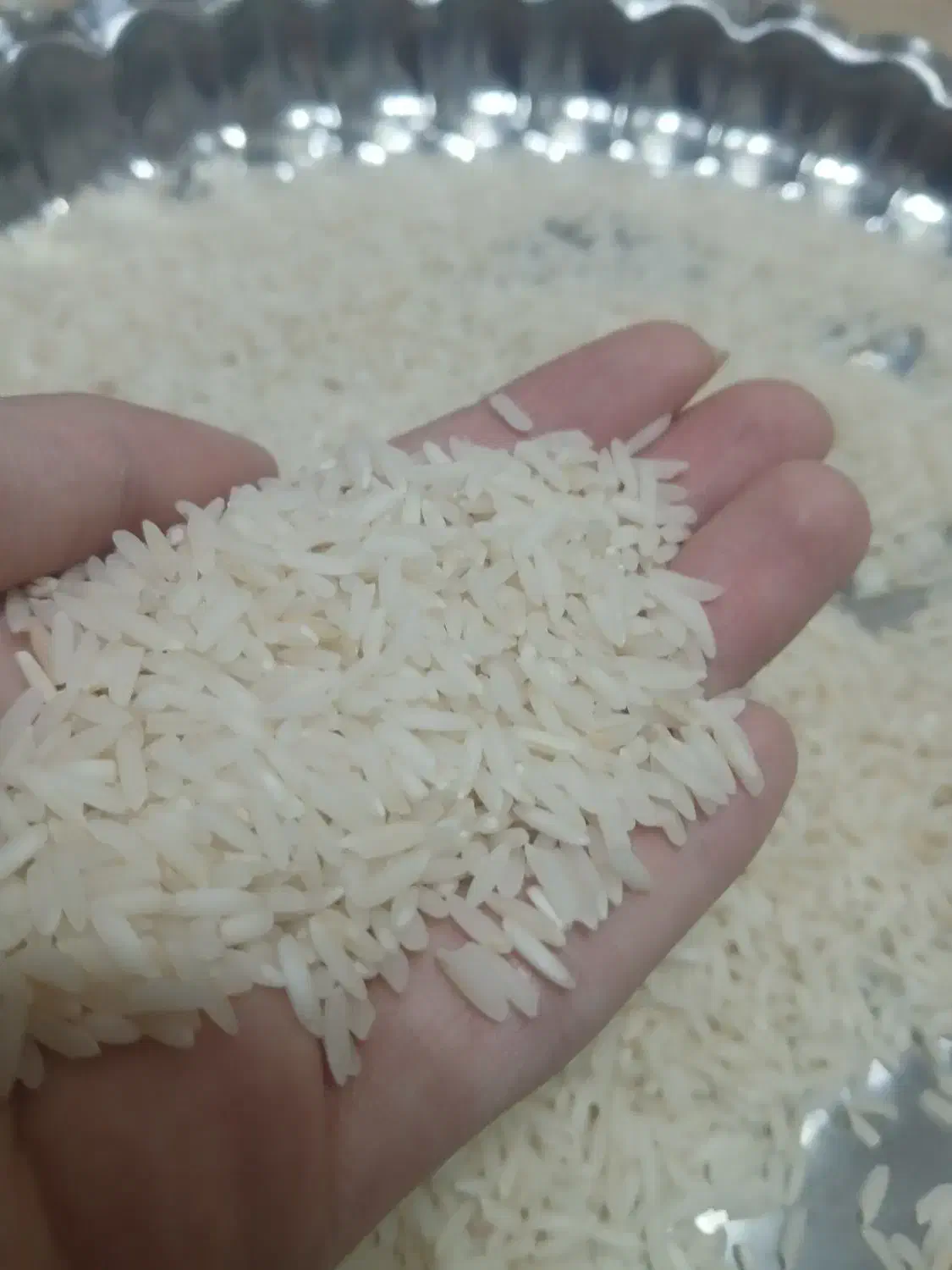 برنج هاشمی|خوردنی و آشامیدنی|رشت, حمیدیان|دیوار