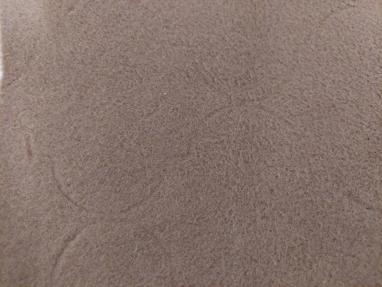 موکت قهوه ای|موکت|مشهد, سناباد|دیوار