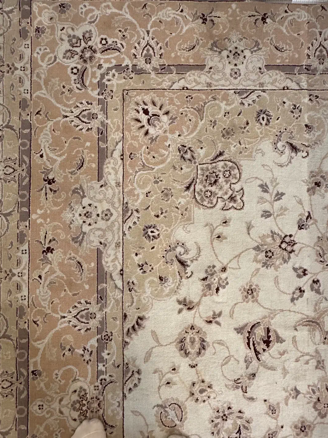 فرش ماشینی|فرش|تهران, فلسطین (میدان انقلاب)|دیوار