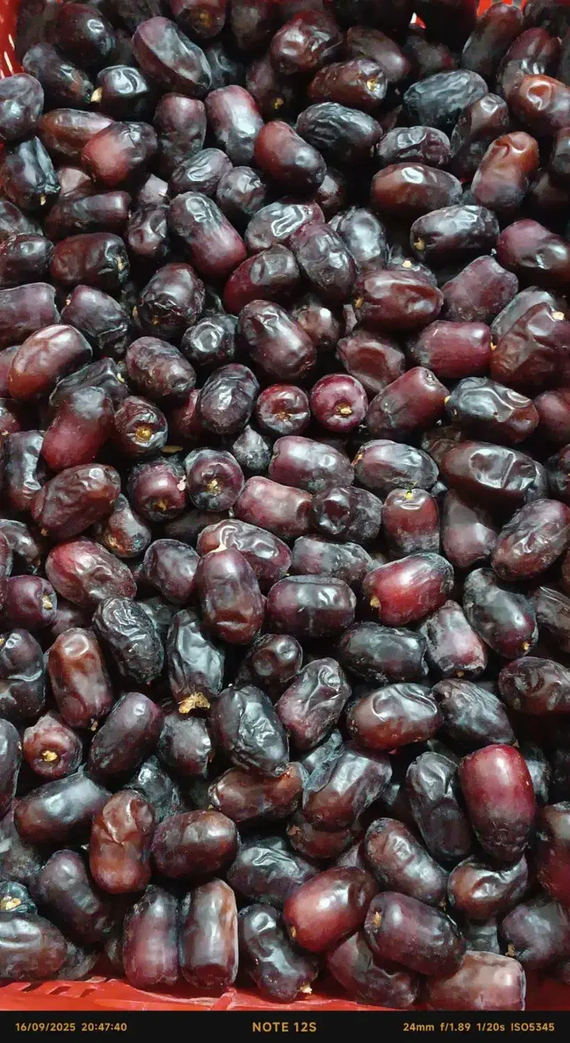 خرما فله یک|عمده‌فروشی|بم, |دیوار