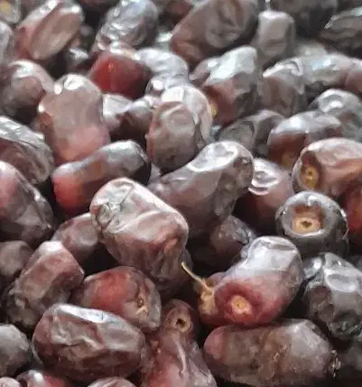 فروش خرما|خوردنی و آشامیدنی|فهرج, |دیوار