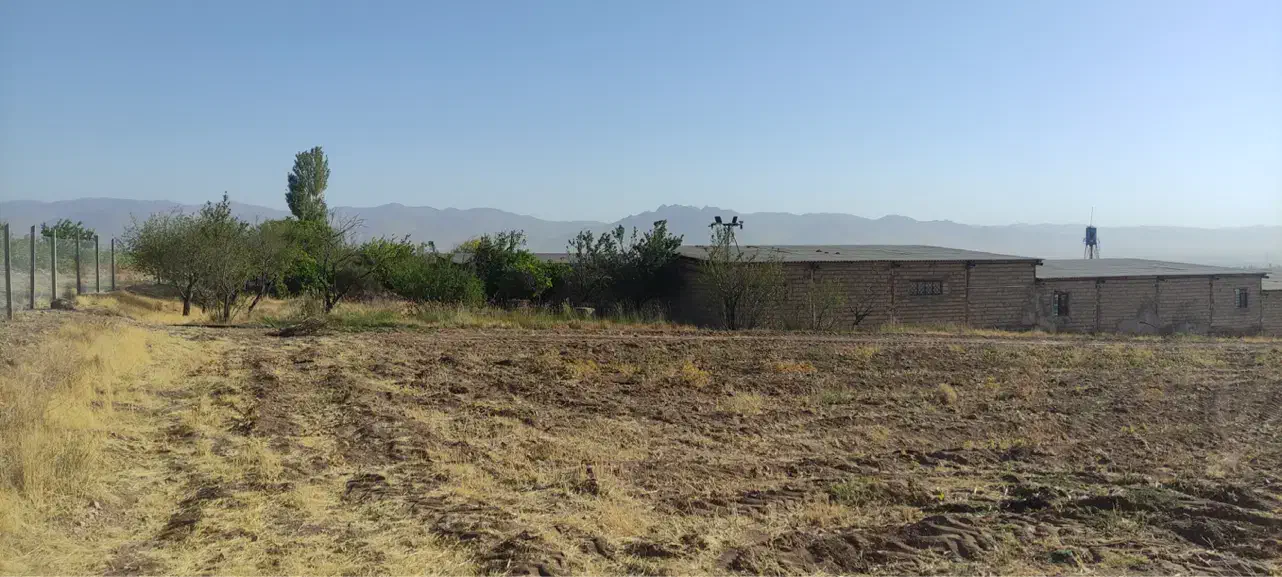 گاوداری شیری ۱۰۰ راسی + ۳/۵ هکتار زمین و باغ|فروش دفتر صنعتی، کشاورزی، تجاری|خرمدره, |دیوار