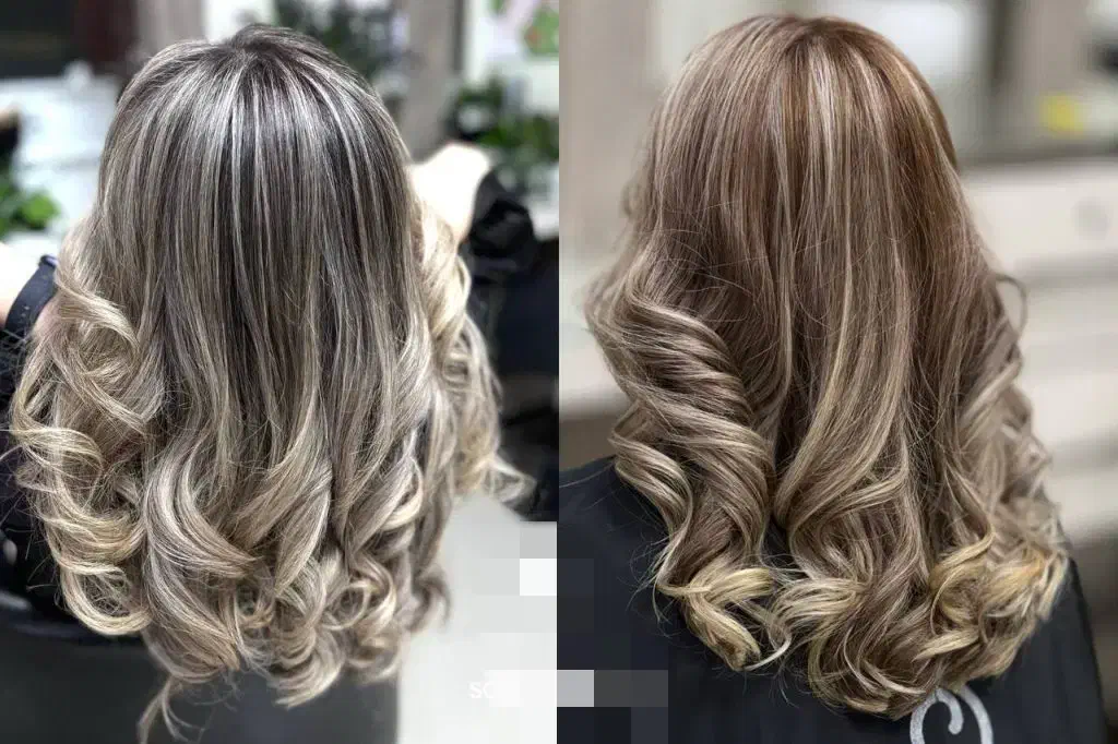 گردهمایی و همایش|گردهمایی و همایش|شوشتر, |دیوار