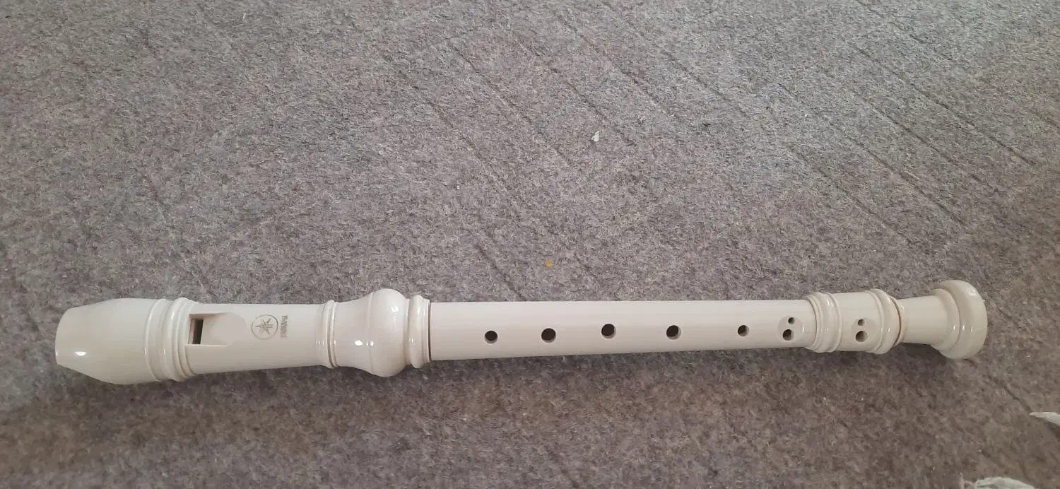 فلوت آموزشی|سازهای بادی|شیراز, لاله|دیوار