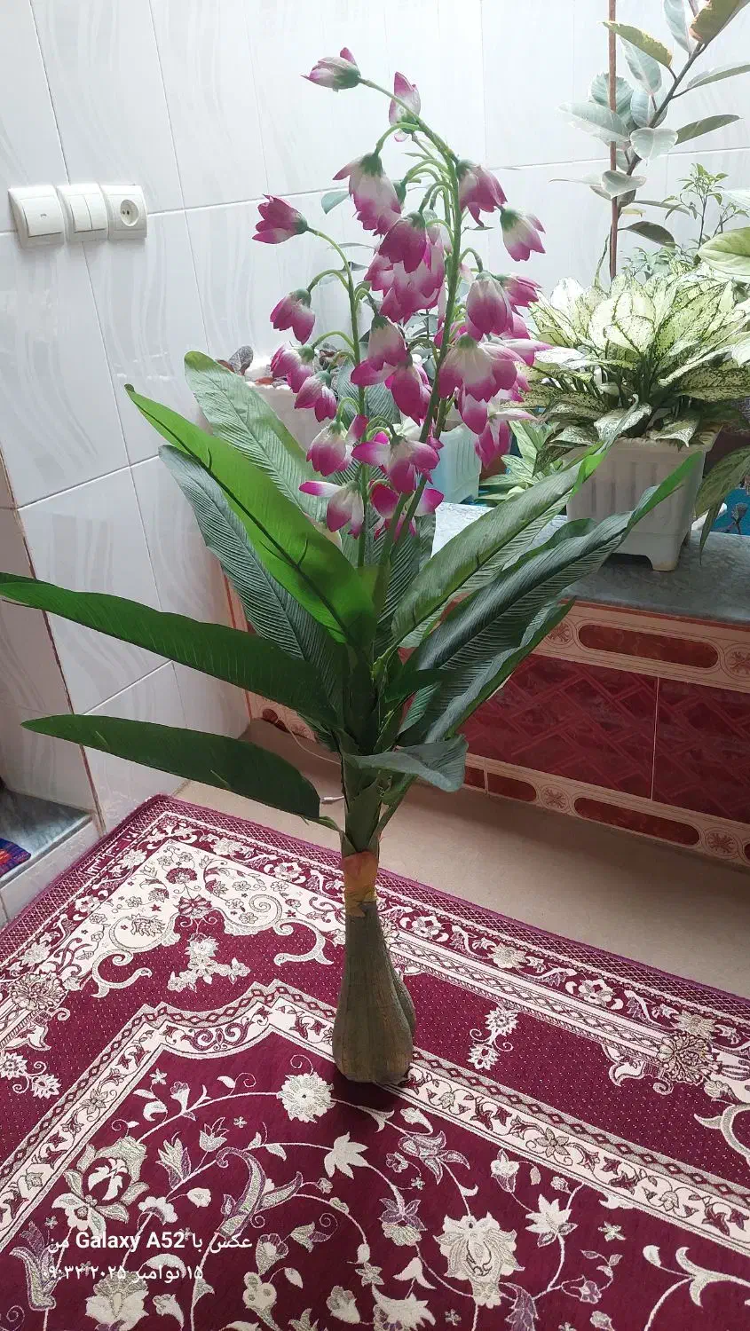 سه عدد گل|گل و گیاه طبیعی|اهر, |دیوار