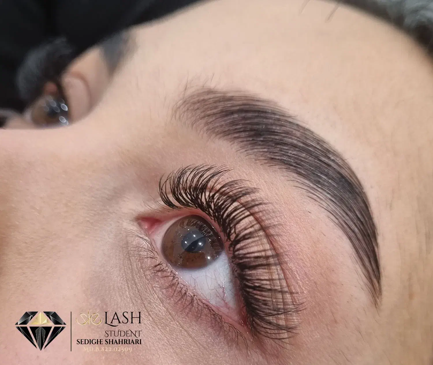 اکستنشن مژه|خدمات آرایشگری و زیبایی|مرودشت, ابوذر شمالی|دیوار