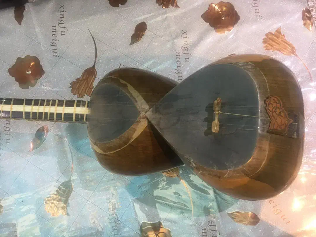 تار حرفه ای خجسته|سازهای سنتی|کرمان, |دیوار