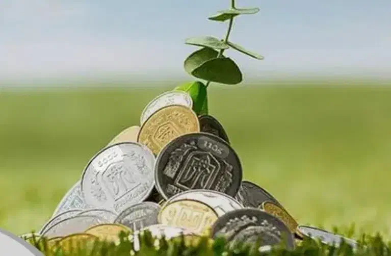 سرمایه گذاری|خدمات مالی، حسابداری، بیمه|اصفهان, رهنان|دیوار