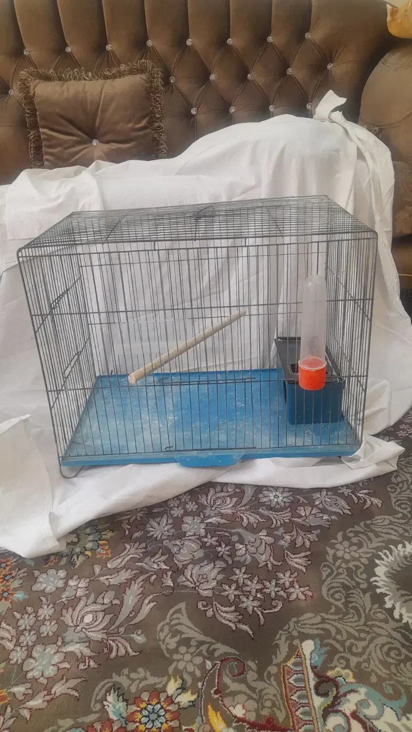قفس پرنده|لوازم جانبی حیوانات|سبزوار, همت|دیوار