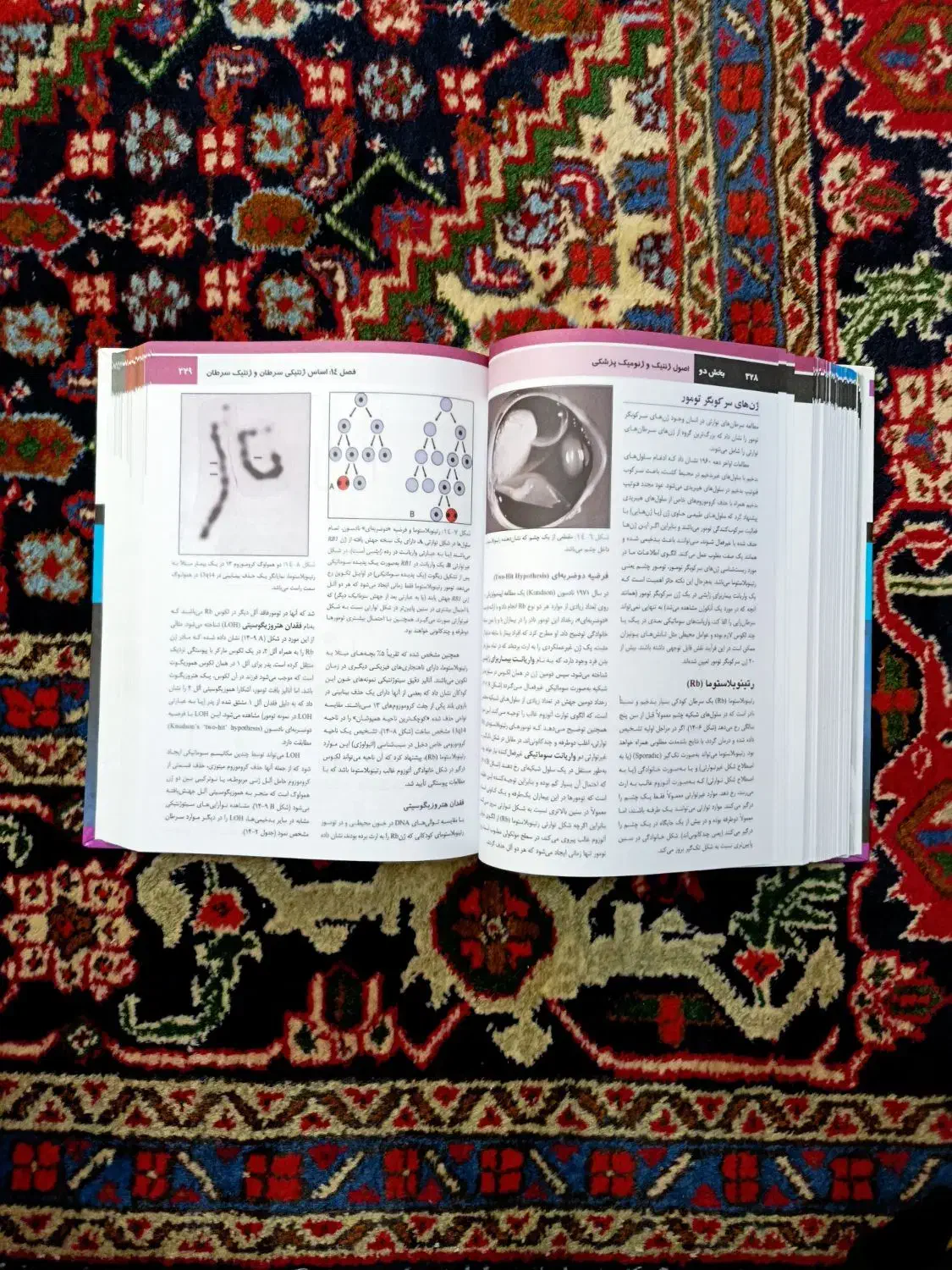 اصول ژنتیک و ژنومیک امری|کتاب و مجله آموزشی|اردبیل, |دیوار